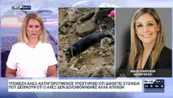 Υπ. Άλεξ: Αποκλειστικό - Και δεύτερος ενήλικας που είχε κατηγορηθεί θα φανερώσει στοιχεία για αρπαγή