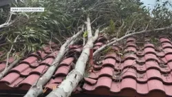San Diegans prepare for more possible downed trees as next storm approaches