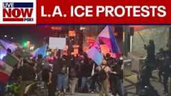 LA 'ICE Out' protests: Unlawful assembly declared amid clashes