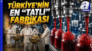Confectionery Exports from Turkey to 40 Countries! | A Para