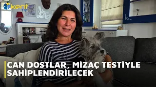 CAN DOSTLAR, MİZAÇ TESTİYLE SAHİPLENDİRİLECEK