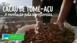 Cacau de Tomé-Açu - A Revolução pela Agrofloresta - 16/01/2026 (com libras e audiodescrição)
