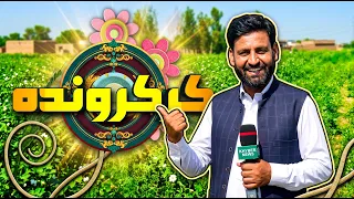 Kar Karwanda | 28 Aug 2026 | Khyber News