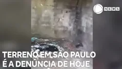Record News contra a dengue: terreno em São Paulo é a denúncia de hoje