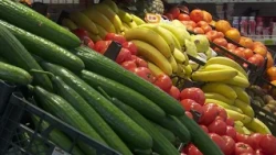 Владината потрошувачка кошница за 10200 денари помала од синдикалната, разликата е во методологијата