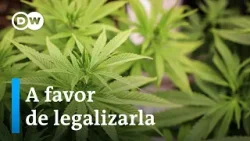El Parlamento alemán aprueba legalizar la posesión y el consumo de marihuana