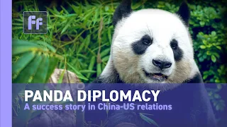 Panda Diplomacy- a success story of China US collaboration