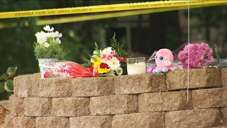 Search warrant reveals new details about Hopkins triple murder-suicide