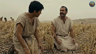 Beyond the Broken Field: The Purpose in the Storm