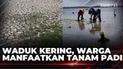 Prolonged Drought Turns Boyolali Reservoir Bed Into Farmland | SAPA SIANG