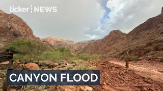 Grand Canyon flash flood leaves 15 missing, dozens airlifted to safety