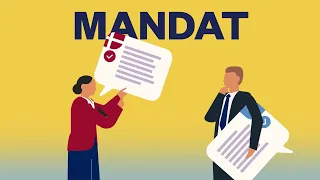 Hvad har Folketinget med EU at gøre?