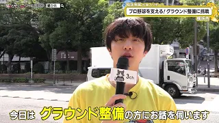 猫のひたいほどワイド #1758 潜入リポート・松永有紘「プロ野球を支える！グラウンド整備に挑戦」（横浜市中区）