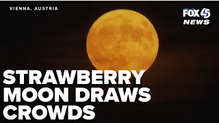 Strawberry moon draws crowds in Vienna