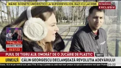 Un pui de tigru alb a murit la grădina zoologică din Craiova Un pui de tigru alb a murit la grădina zoologică din Craiova