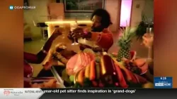 Entertainment: Afroman to perform at Blue Note Entertainment: Afroman to perform at Blue Note