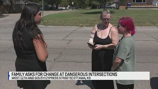 Mother, daughter recall crosswalk crash that killed family dog