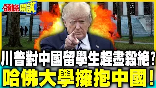 去歐洲攻讀美國博士?美高等院校變形求生! | 哈佛向中國學生招手!反抗川普!擁抱中國!【頭條開講】精華版 @中天電視