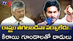 రాష్ట్రం తగలబడినా పర్వాలేదు.. కిరాయి గూండాలతో దాడులు | CM Chandrababu on Poll Violence || TV5 News