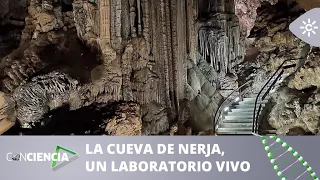 Conciencia | Nerja Cave, a Living Laboratory