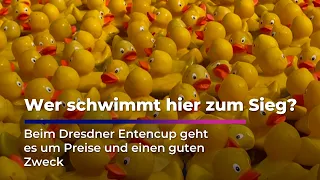 Dresden Duck Cup: Racing for a Good Cause | Sachsen Fernsehen