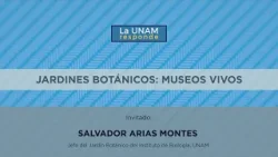Jardines Botánicos: Museos Vivos. La UNAM responde 904