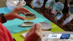 Shelling artist thanks her fellow artists for recovery after Hurricane Ian