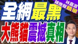 四川臥龍現「全網最黑」大熊貓 網友調侃:你是去挖煤了嗎？｜全網最黑 大熊貓震撼真相｜郭正亮.蔡正元.栗正傑深度剖析?【林嘉源辣晚報】精華版 @中天新聞CtiNews