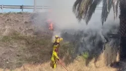 Overgrown weed enforcement starts April 15 Overgrown weed enforcement starts April 15