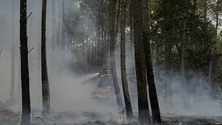 France: 70 Ukrainian firefighters help combat Gironde wildfire