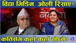 ओलीलाई लगाम लगाउँदै विद्या, भनिन्– नेताहरुसँग सल्लाह गर्नु ! जावफ–कतिसँग कहाँ–कहाँ सल्लाह गर्नु ?