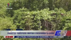 Paquetes turísticos invitan a descubrir La Ceiba