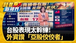 Taiwan Stocks: Opportunities in Niche Sectors vs. Risks of Over-Concentration in Japan, Korea, an...
