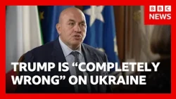 Trump 'completely wrong' to restrict support for Ukraine, Italian minister tells BBC | BBC News