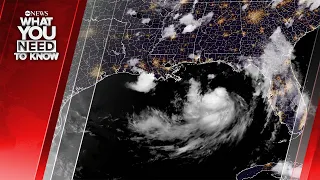 Tropical Storm Bertha Takes Aim at Gulf Coast. What You Need To Know - July 21