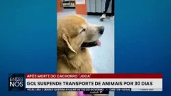 Lula cobra ação da Gol e da Anac após a morte do Golden Joca; cachorro foi embarcado em voo errado