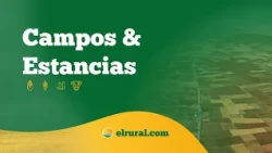Farms and Ranches | OCT 28