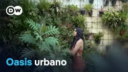 Un Jardín Botánico brota entre el cemento de Ciudad Bolívar