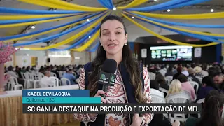 Santa Catarina stands out in honey production and exports