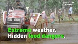 How extreme weather threatens food safety and the global food supply