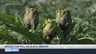 Prezzijiet tal-fertilizzanti: Il-Membri tal-PE japprovaw l-appoġġ għall-bdiewa