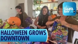 Halloween Celebration Grows into One of Main Street's Biggest Events in Downtown New Port Richey
