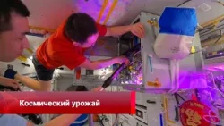 Космический урожай, время путешествий, праздничный шопинг, ИИ-мультфильм