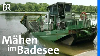 Wuchernde Wasserpflanzen: Mit dem Mähboot auf den Baggersee | Schwaben + Altbayern | BR