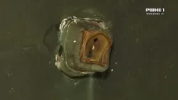 Смертельна пожежа на Гощанщині: подробиці інциденту