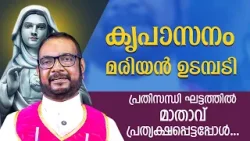 പ്രതിസന്ധി ഘട്ടത്തിൽ മാതാവ് പ്രത്യക്ഷപ്പെട്ടപ്പോൾ...Santhwanabhishekam | Ep389 |Fr Joseph |Shalom TV