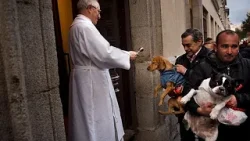 Madrid'de kedi ve köpekler kutsal suyla kutsandı