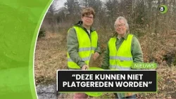 Vrijwilligers redden padden in buitengebied van Doetinchem