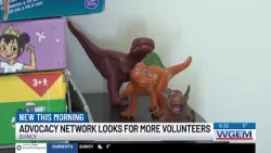 Advocacy Network for Children seeking more volunteers