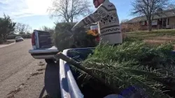 Twin Falls Christmas tree disposal: Free curbside pickup guide Twin Falls Christmas tree disposal: Free curbside pickup guide